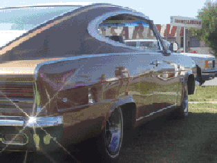 SteveChapman66Marlin.gif