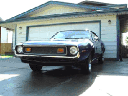 PhilStLouis73Jav.gif