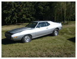 NormFontaine71JavelinAMX.gif